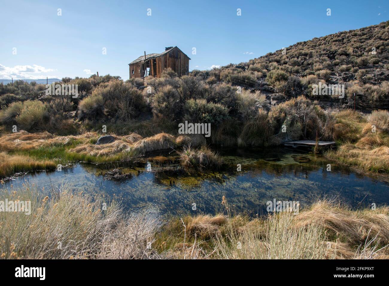 This abandoned ranch house sits next to a natural spring in Adobe
