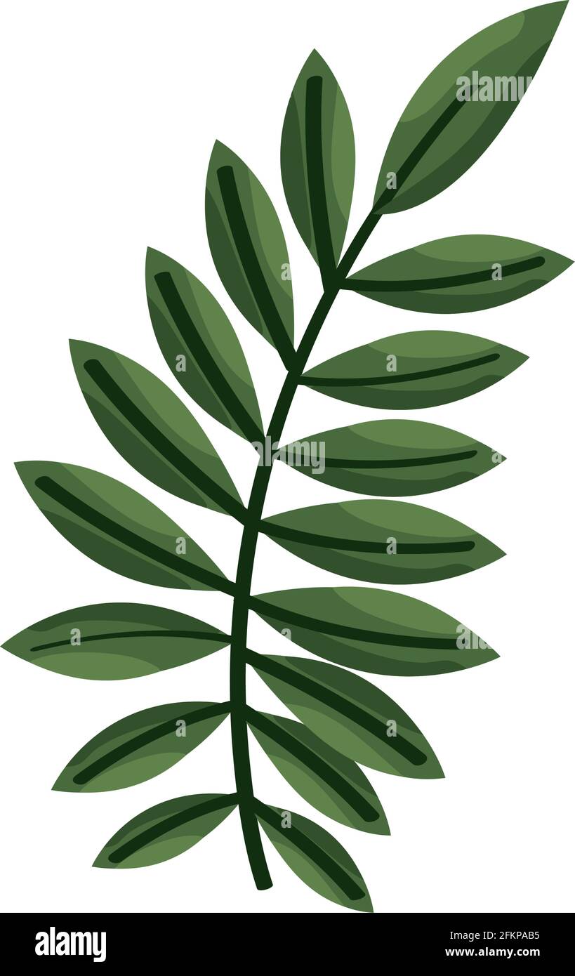 branch with leafs plant icon Stock Vector Image & Art - Alamy