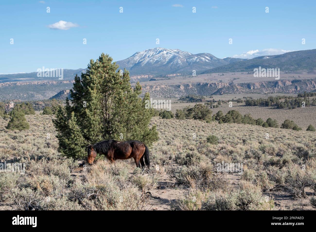 Granite Mountain Wilderness is a good place for hiking and rock