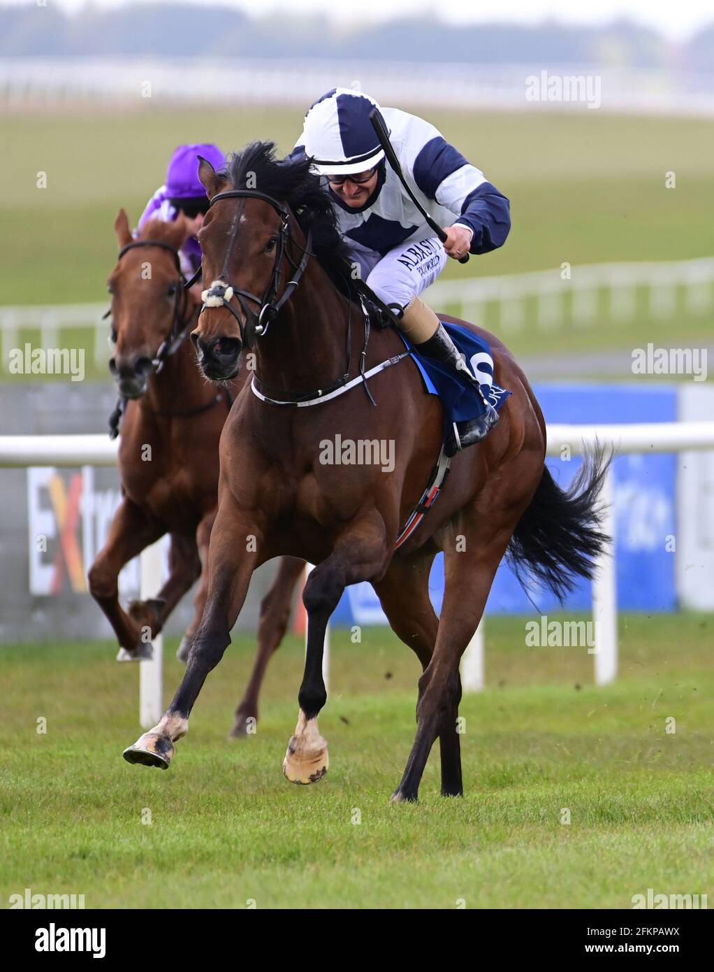 Shane Foley riding No Speak Alexander (second left) on their way to ...