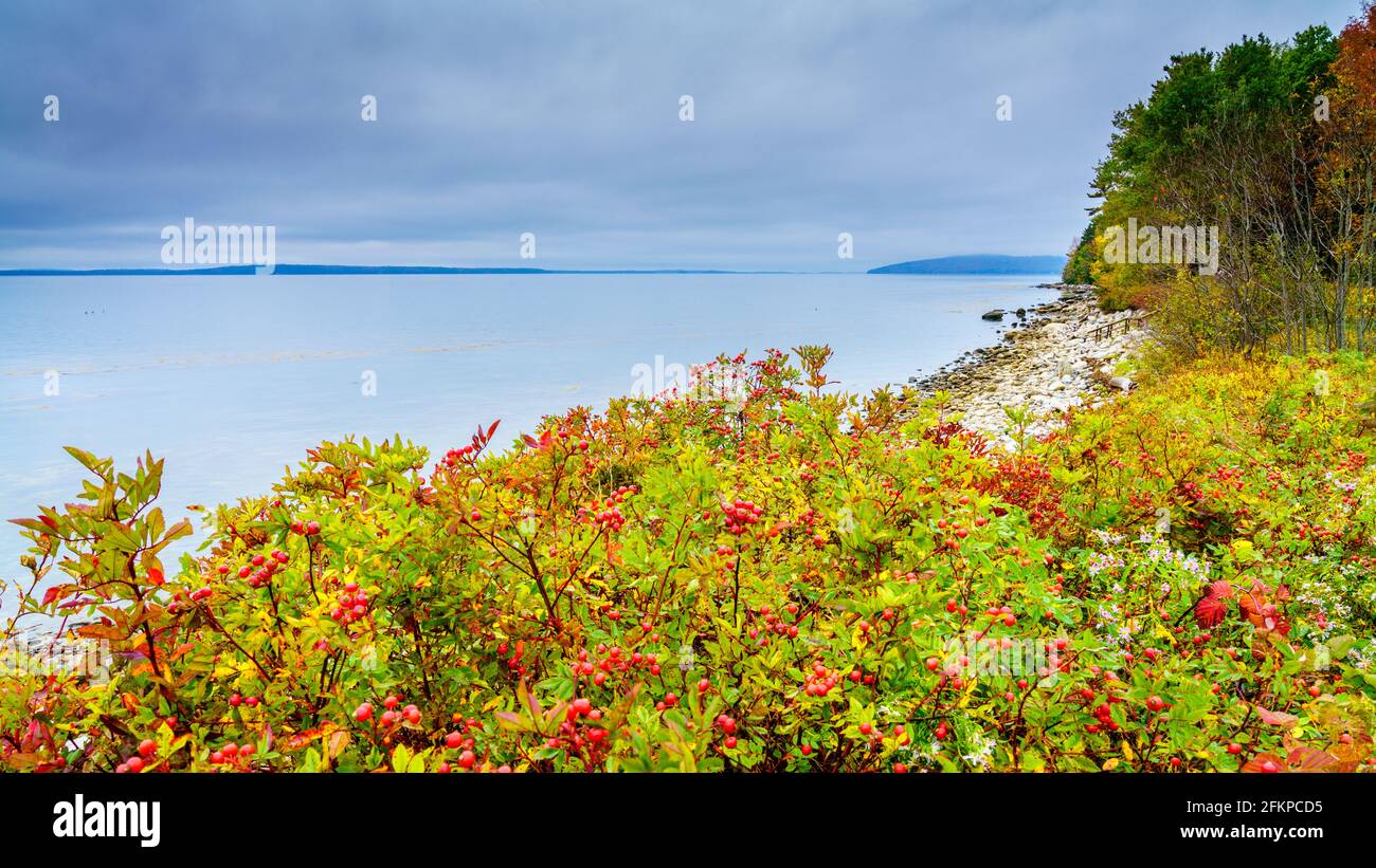 Coastline of Maine, New England at Moose Point State Park in fall Stock Photo