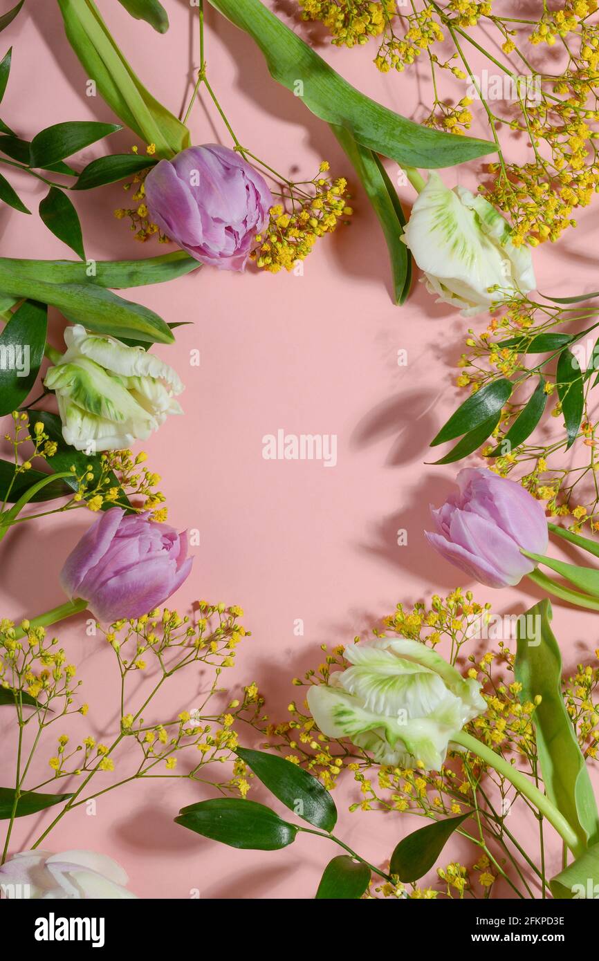 Floral frame on pink background. Copy space, top view, flat lay Stock ...