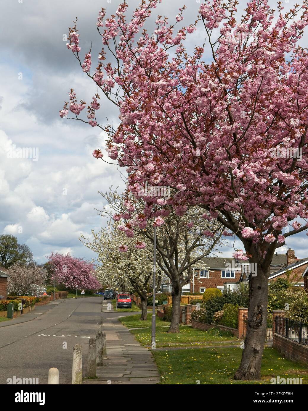 Birtley road hires stock photography and images Alamy