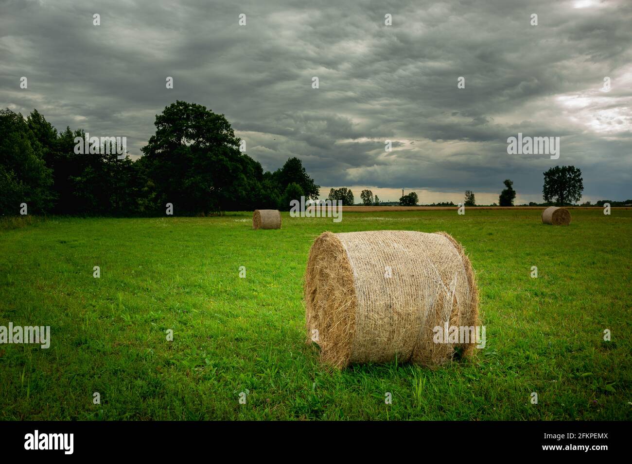 Hay bale on green meadow and cloudy sky Stock Photo