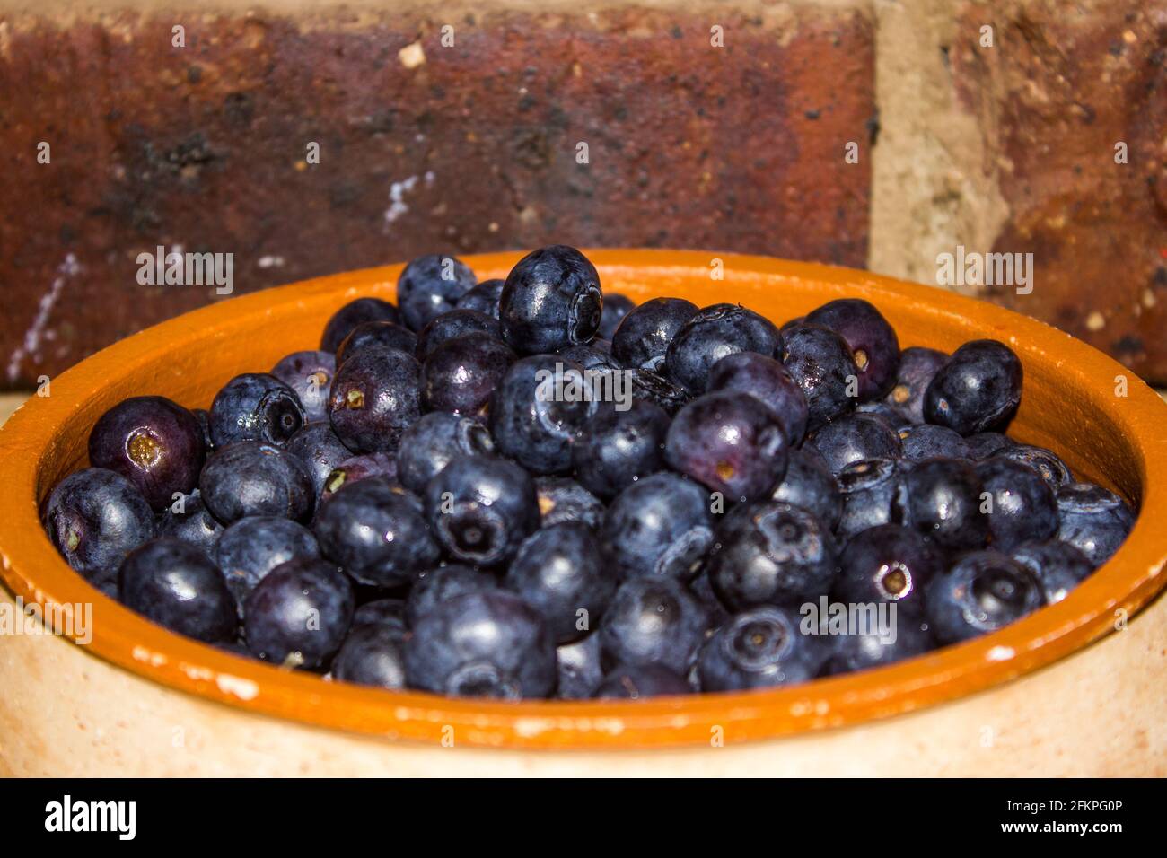A pottery bowl filled with large, indigo colored, blueberries, against
