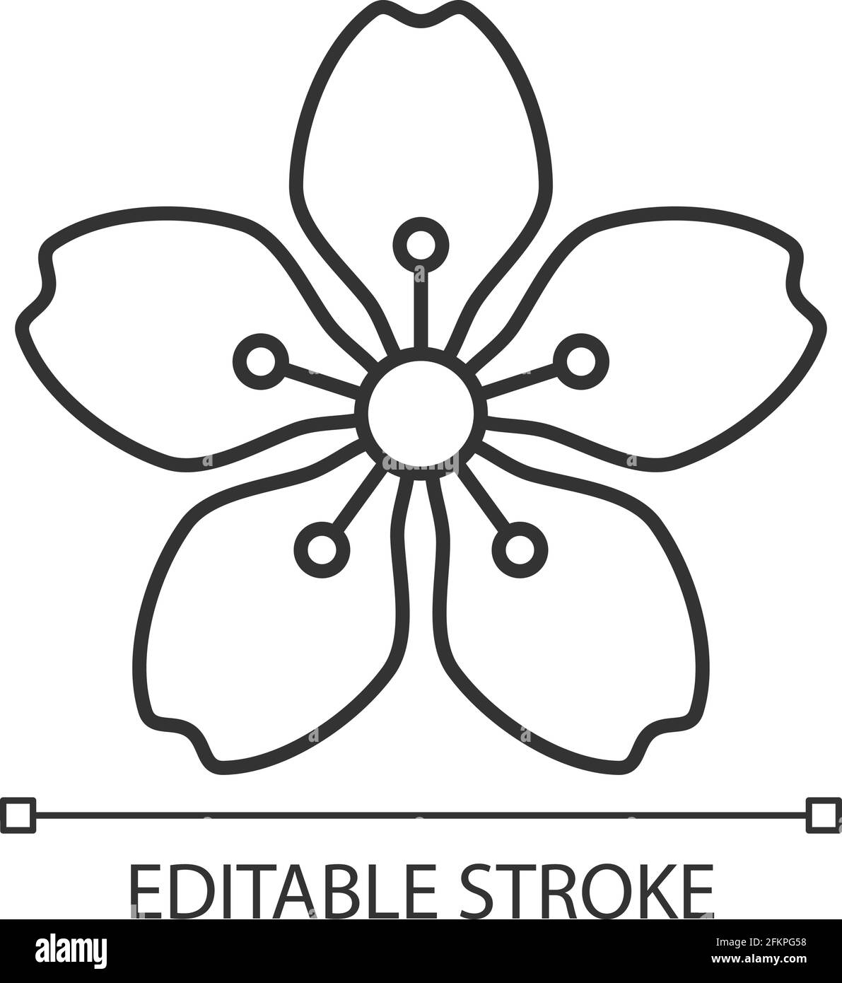 Cherry blossoms linear icon Stock Vector Image & Art - Alamy