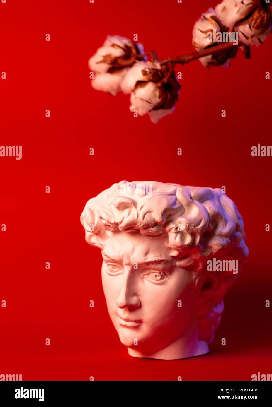 Plaster pot in the form of David's head on a red background. Stock Photo