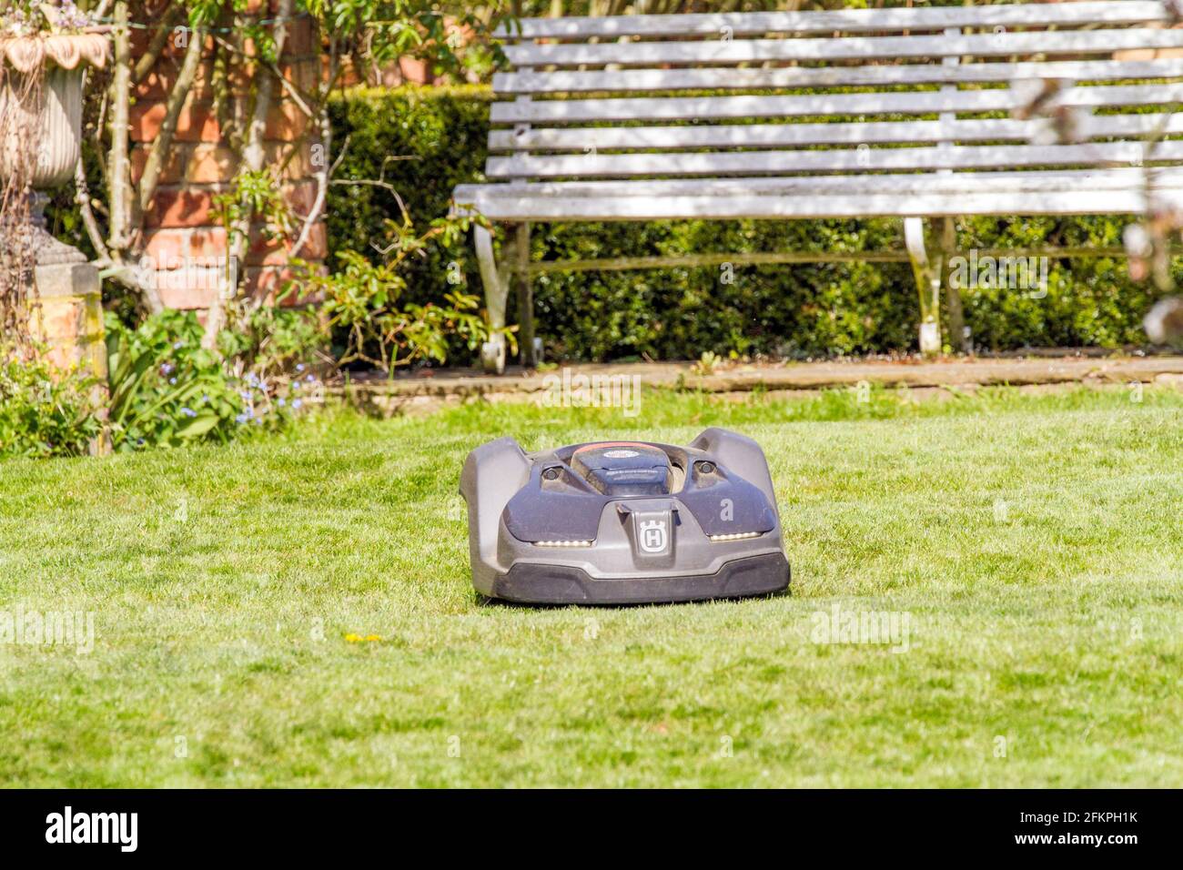 Husqvarna robotic robot  automatic lawn mower in use in an English country garden mowing and cutting  a grass lawn Stock Photo
