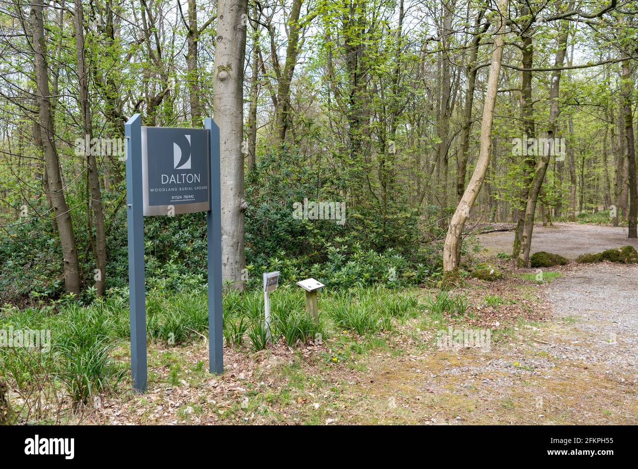 Woodland Burial ground in Cumbria, UK Stock Photo Alamy