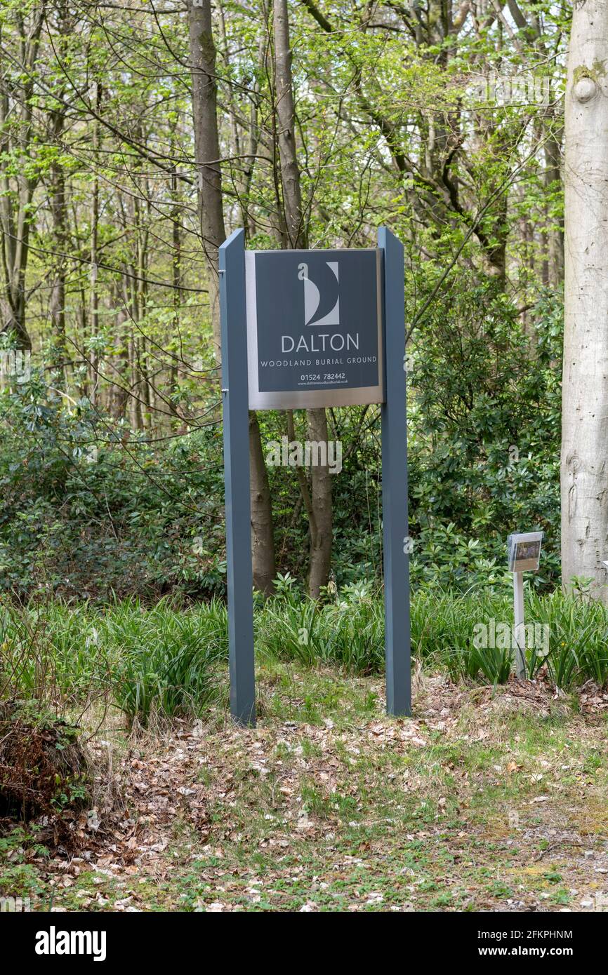 Woodland Burial ground in Cumbria, UK Stock Photo Alamy