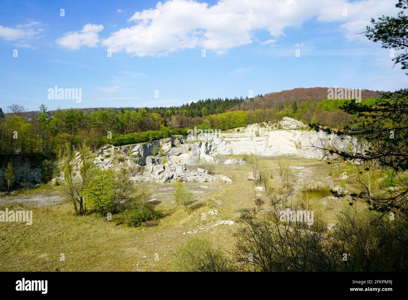 Old limestone quarry near Oerlinghausen. Lime mining in North Rhine-Westphalia. Disused quarry area Stock Photo