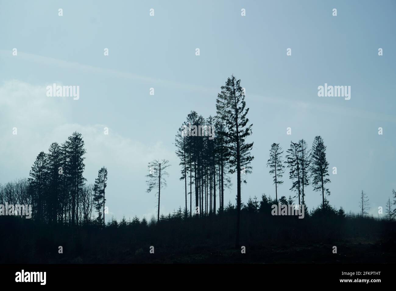 A black silhouette of trees and hills. Blue sky in the background. Landscape in Germany. Stock Photo