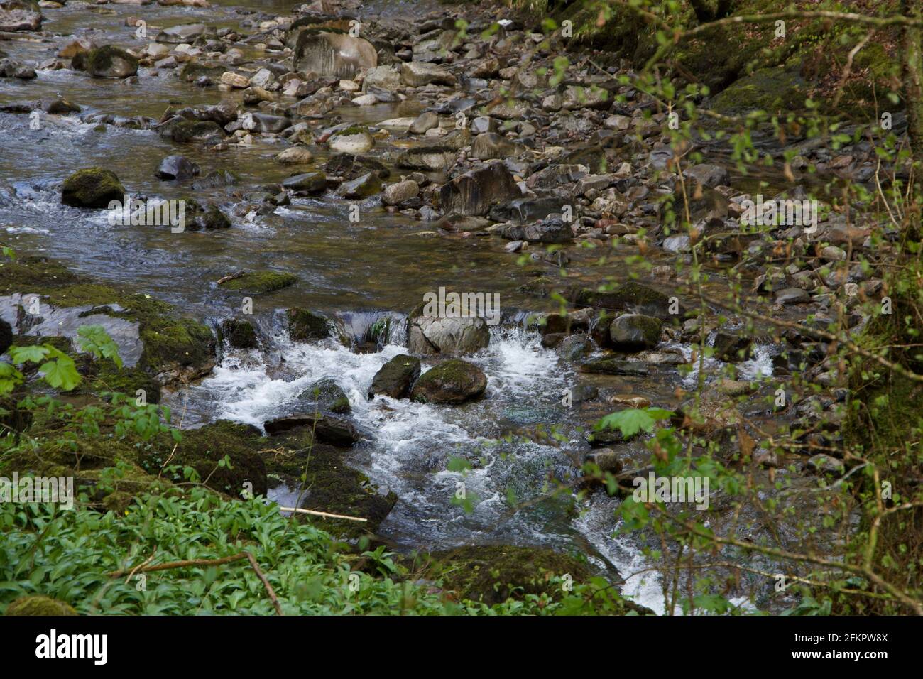 Water rushing over rocks in a brook in Wales Stock Photo - Alamy