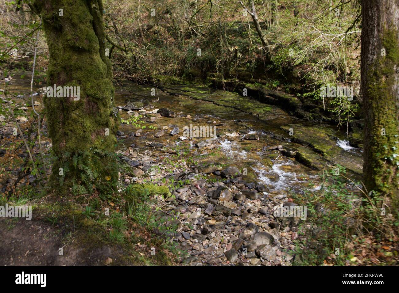 Welsh Rivers From Aerial Riverbank aerial uk tree hi-res stock photography and images - Alamy