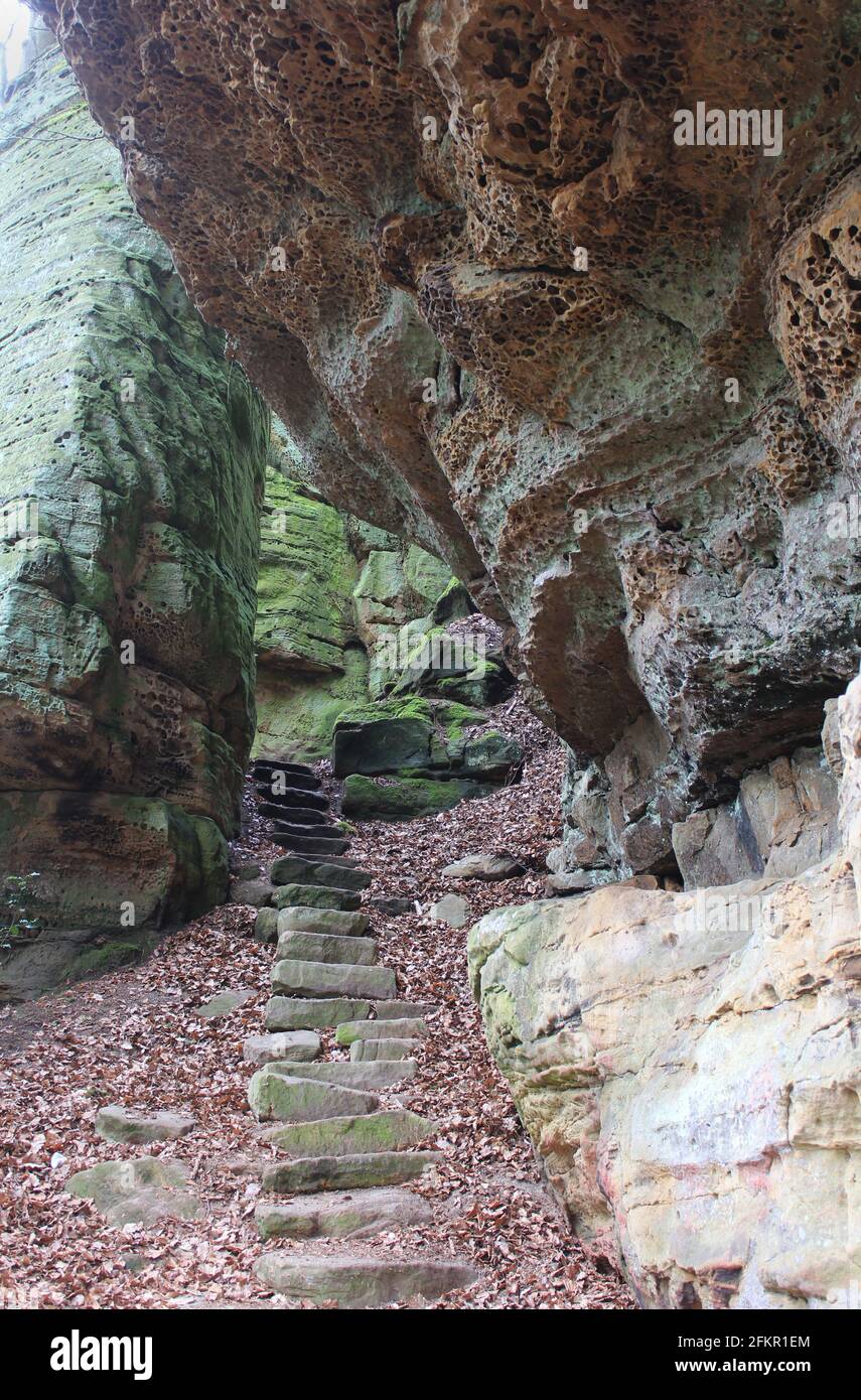 Stone stairway leading through the rock cliffs on part of the Mullerthal trail near Beaufort in Luxembourg. Stock Photo