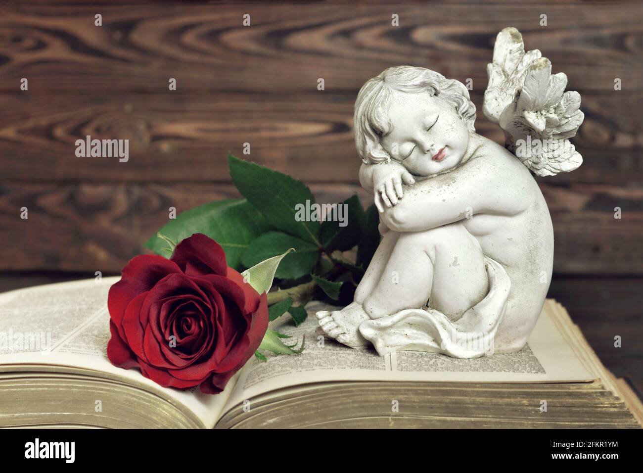 Angel and red rose on the book Stock Photo