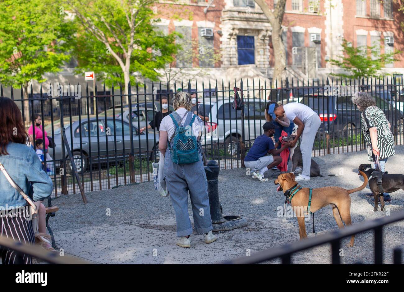 A dog park in Brooklyn, NY Stock Photo Alamy