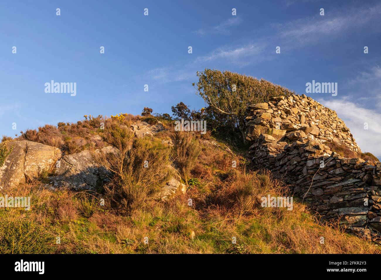 Drystone wall at Dinas Oleu, Barmouth, Wales Stock Photo
