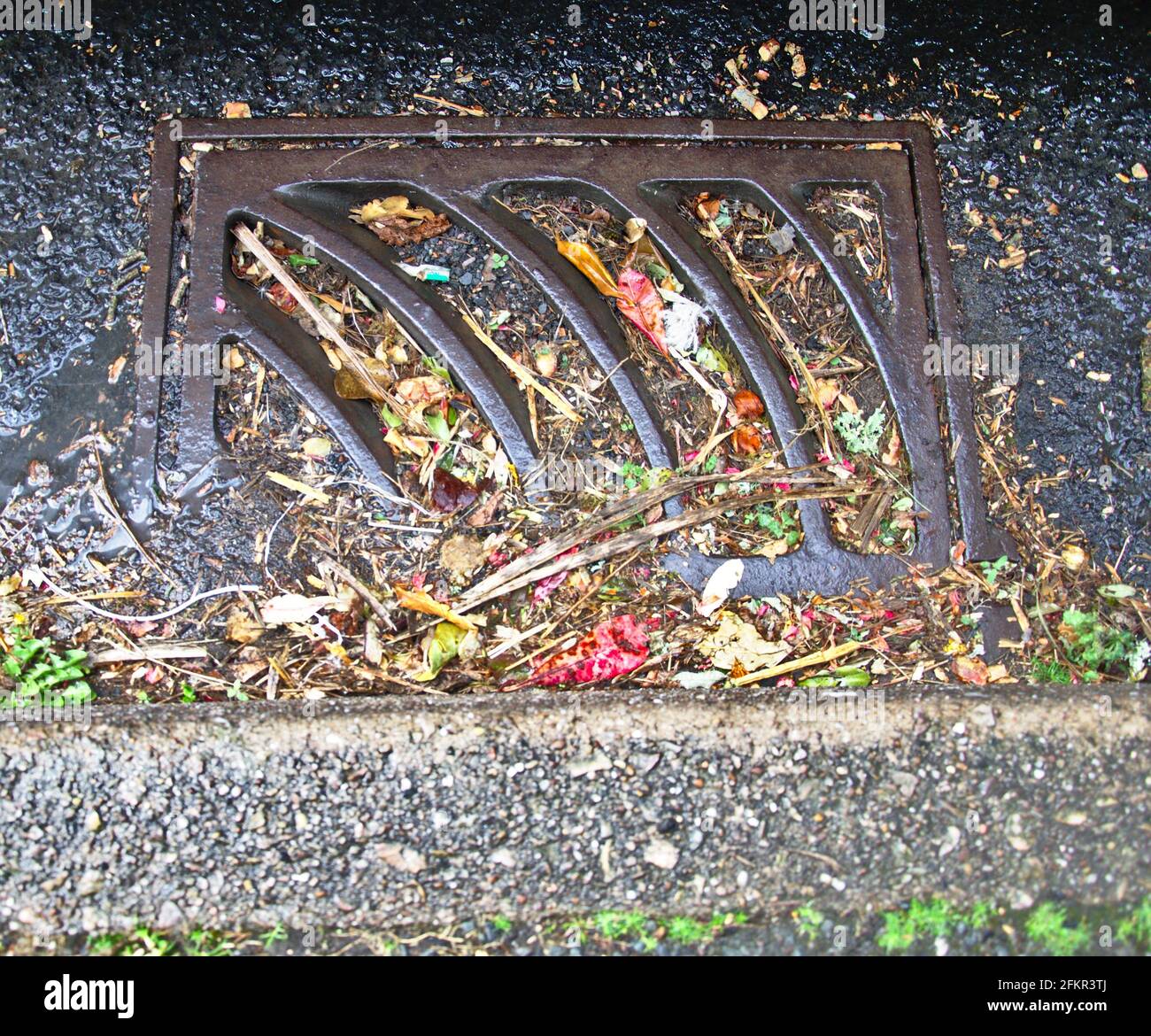 Blocked drain grating in roadside gutter Stock Photo Alamy