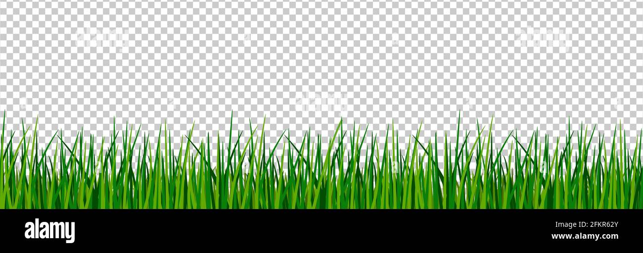 Green grass border. Spring forest meadow isolated on transparent ...
