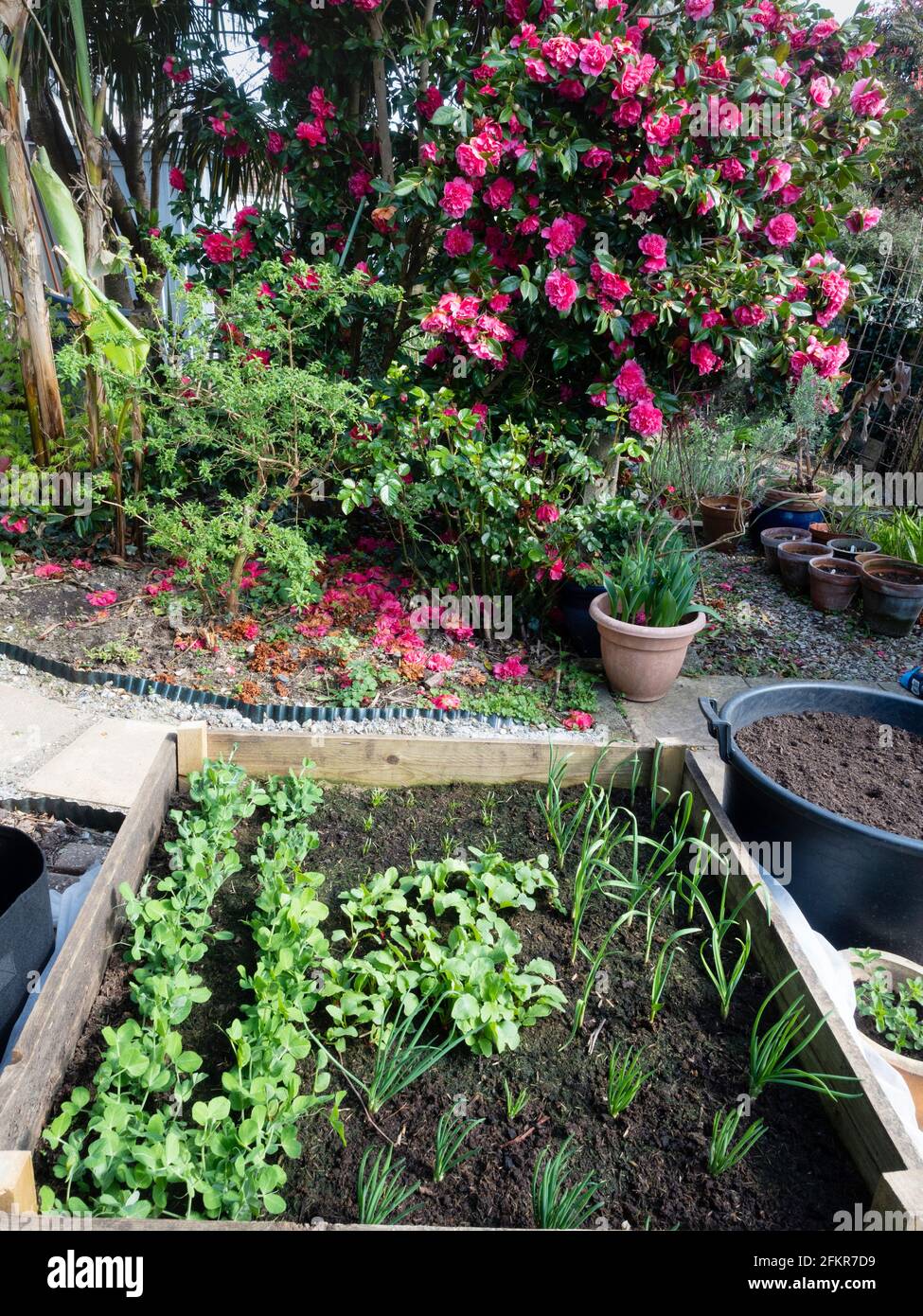 Garden setting hi-res stock photography and images - Alamy
