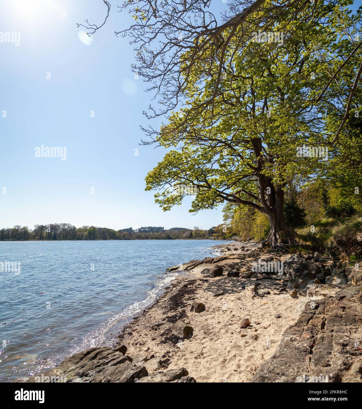 A sandy bay along the Fife Coastal Path at Dalgety Bay, Fife, Scotland