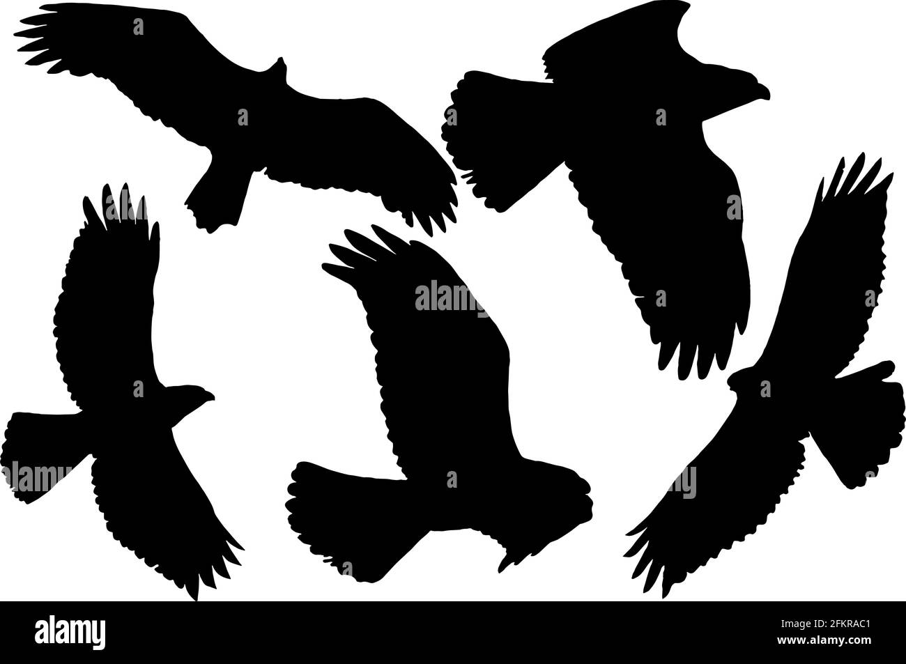 Birds of prey silhouettes in black on white background Stock Vector