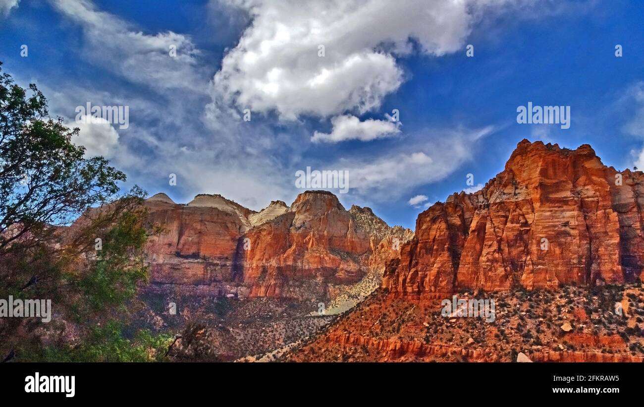 Mountain landscape,  Zion National Park; Southern Utah; USA Stock Photo