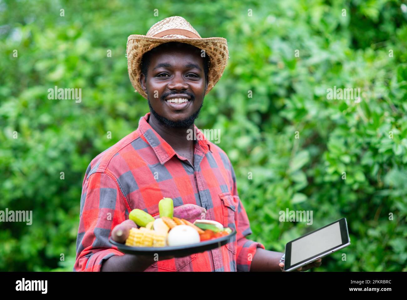 View of African american harvesting vegetables hi-res stock photography and ...