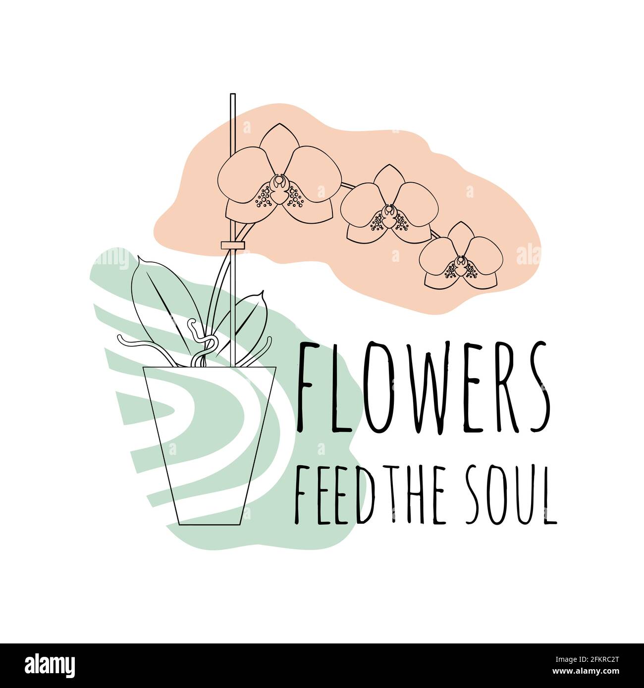 Minimalist boho illustration of quote flowers feed the soul with black line art potted house plant moth orchid and abstract shapes background Stock Vector