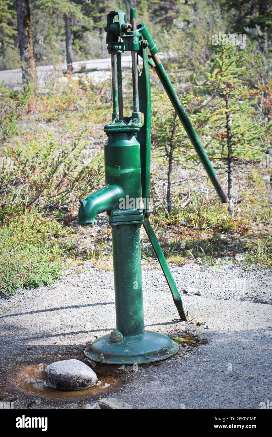 An old fashioned green water hand pump Stock Photo Alamy