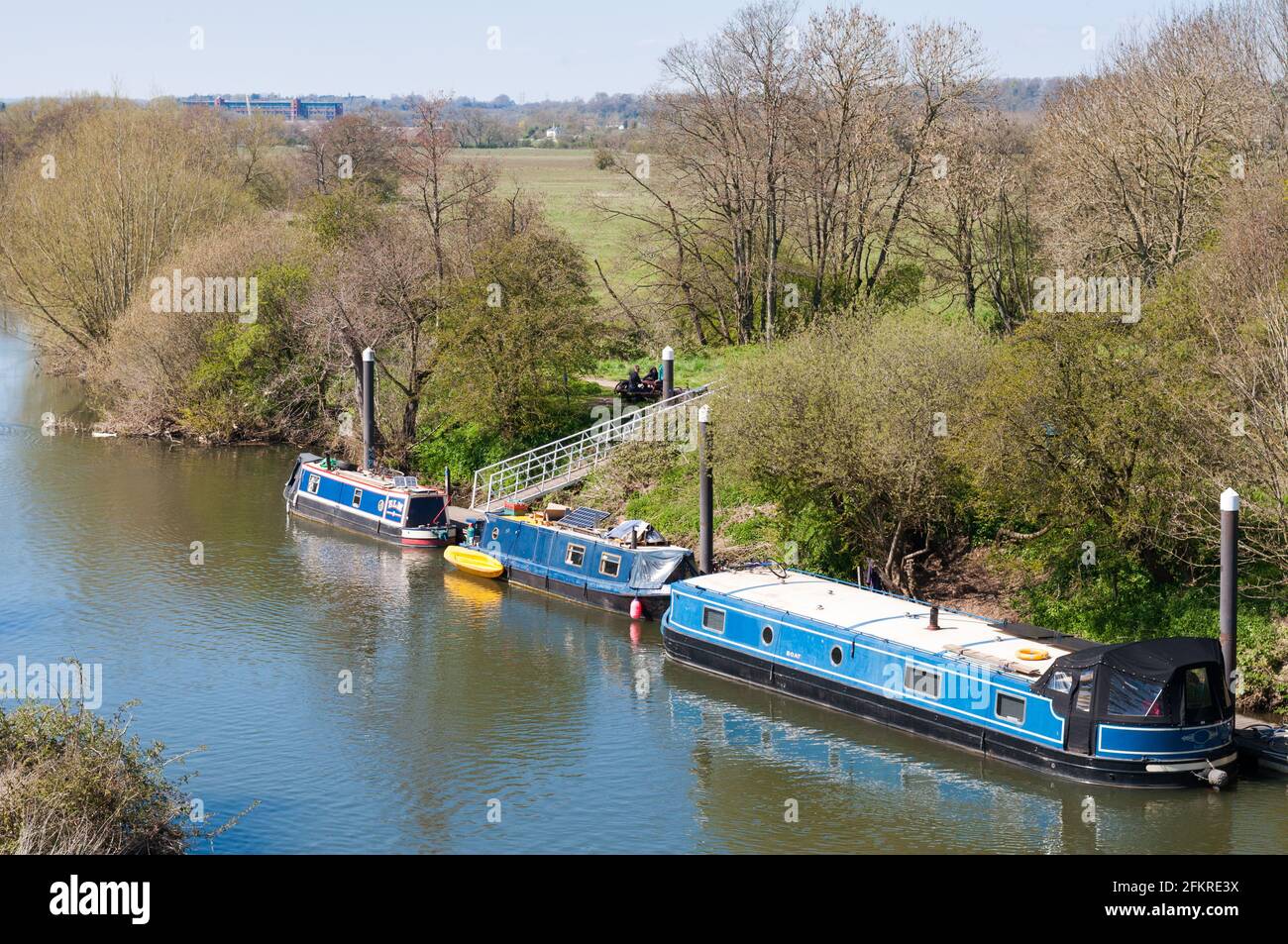 Three blue canal boats on the river Avon in Wiltshire, UK Stock Photo