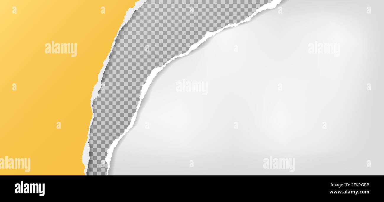 Page Ripped Yellow Vector Torn, ripped yellow and grey squared paper strips with soft shadow are ...