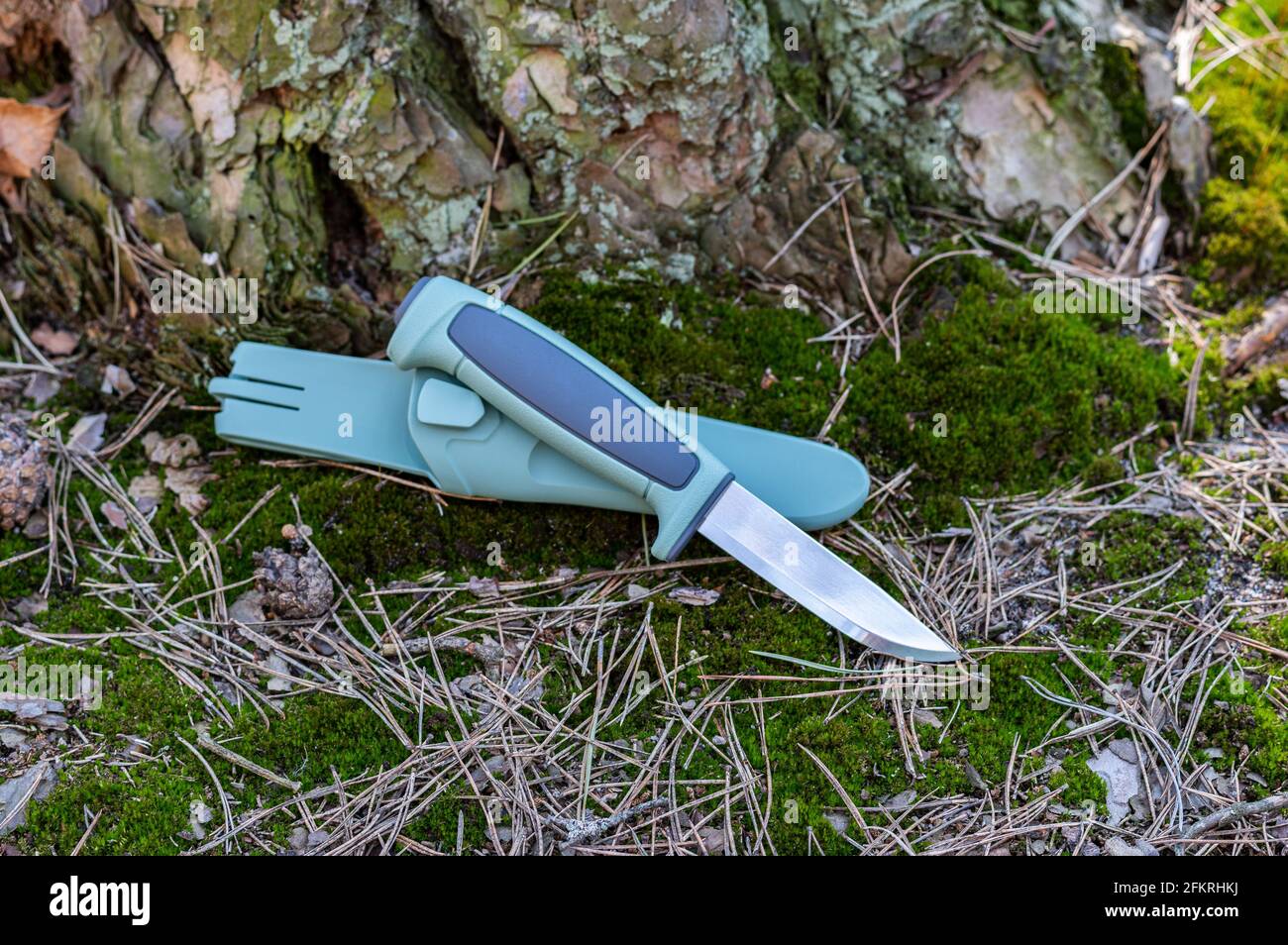 Knife and plastic sheath. Scandinavian knife on green moss. Sharp tourist knife. Knife with an