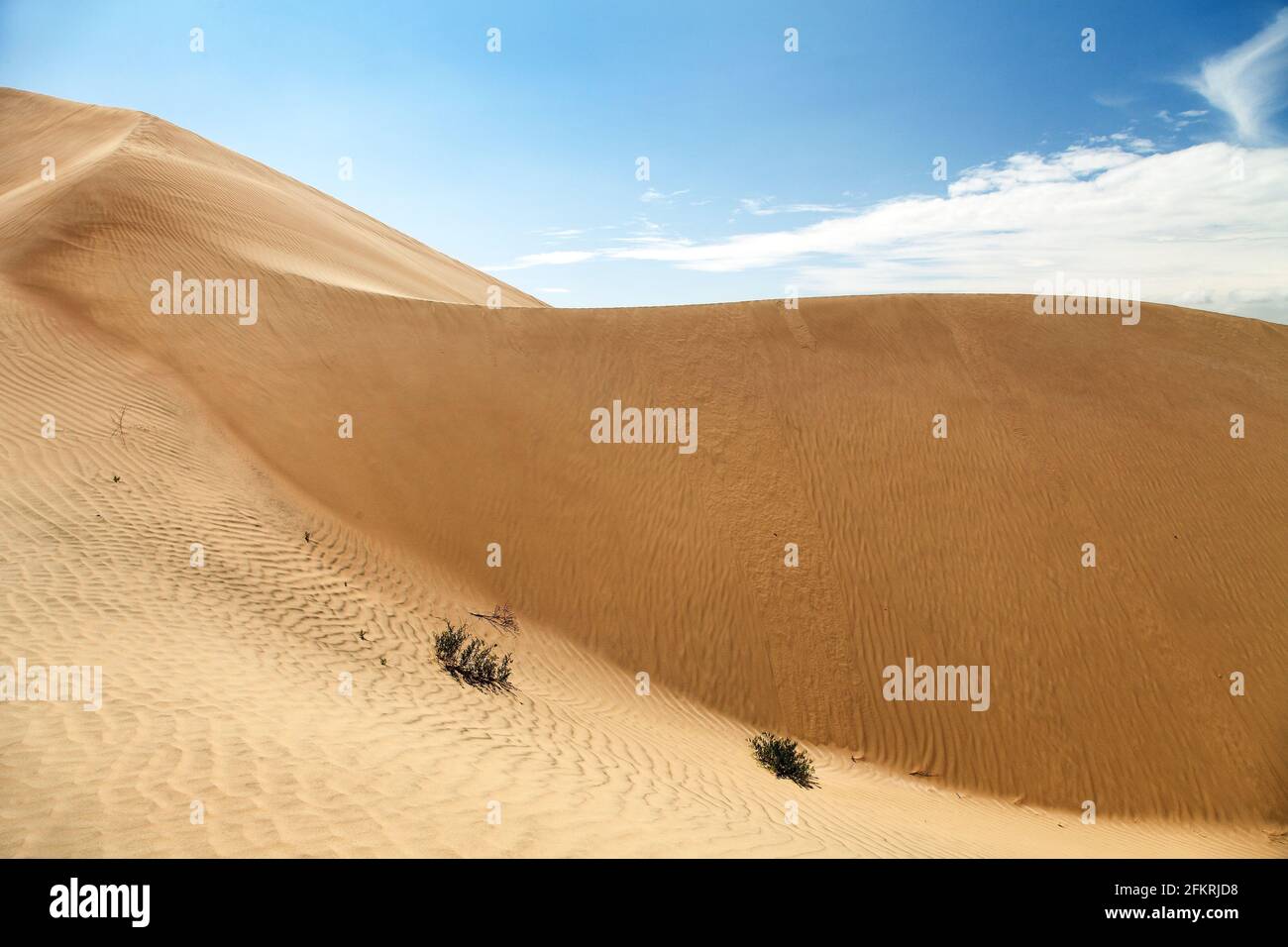 Cerro Blanco sand dune, one of the highest dunes on the world located