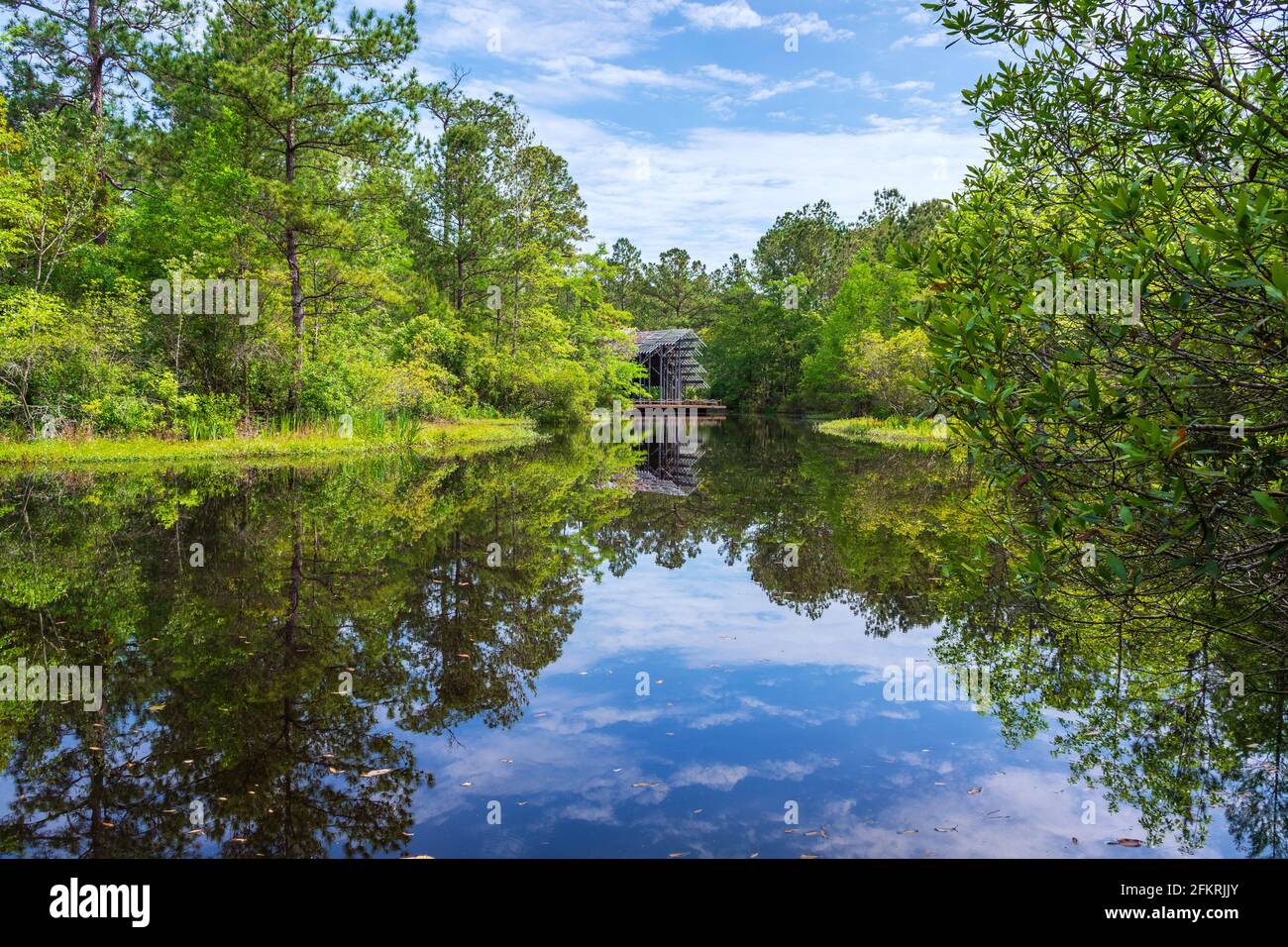 Pinecote Pavilion at the Crosby Arboretum, a conservatory protecting  native plants of the Pearl River Drainage Basin of Mississippi and Louisiana. Stock Photo