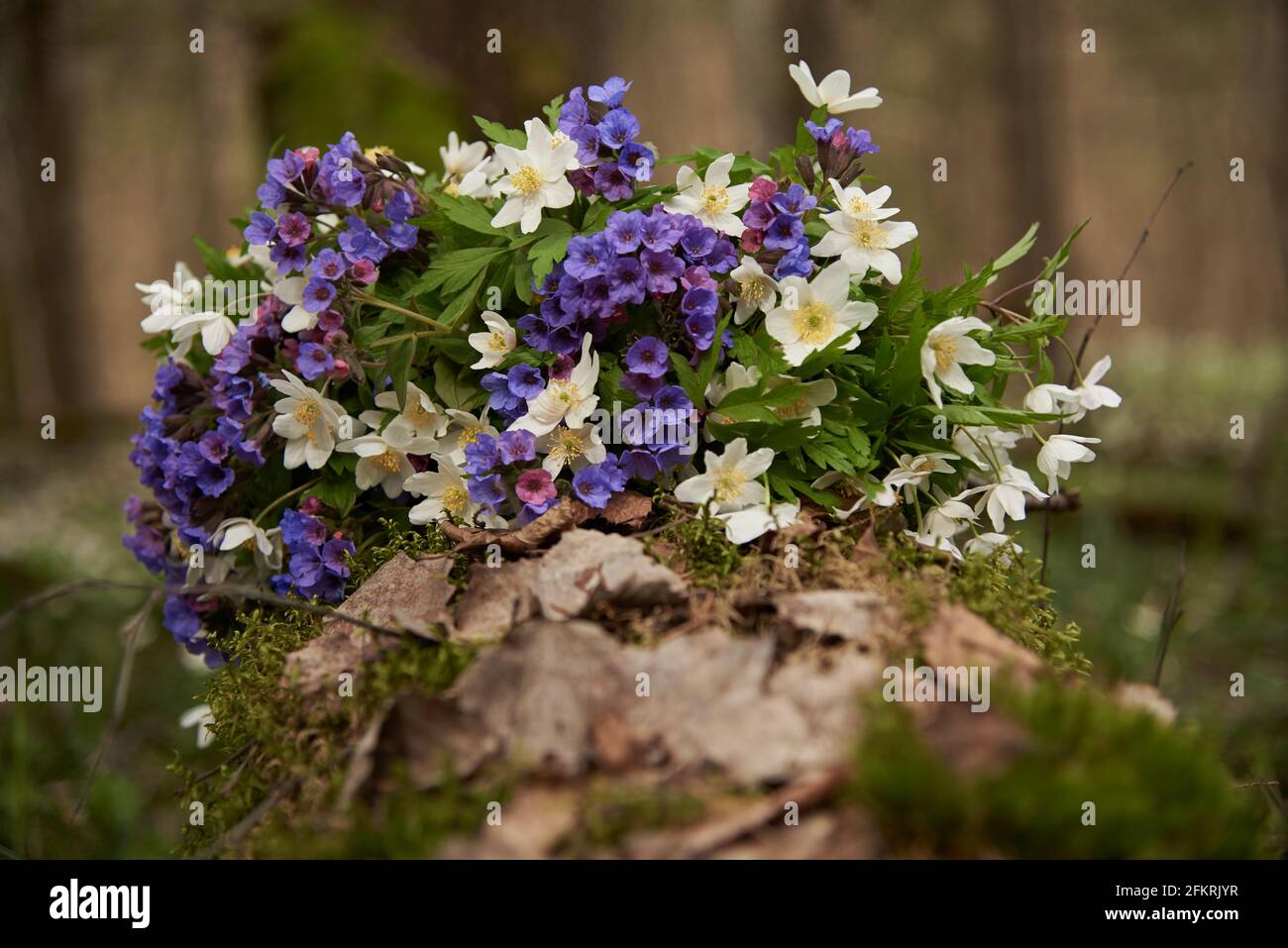 A bright bouquet of forest flowers on a fallen tree in the forest Stock ...