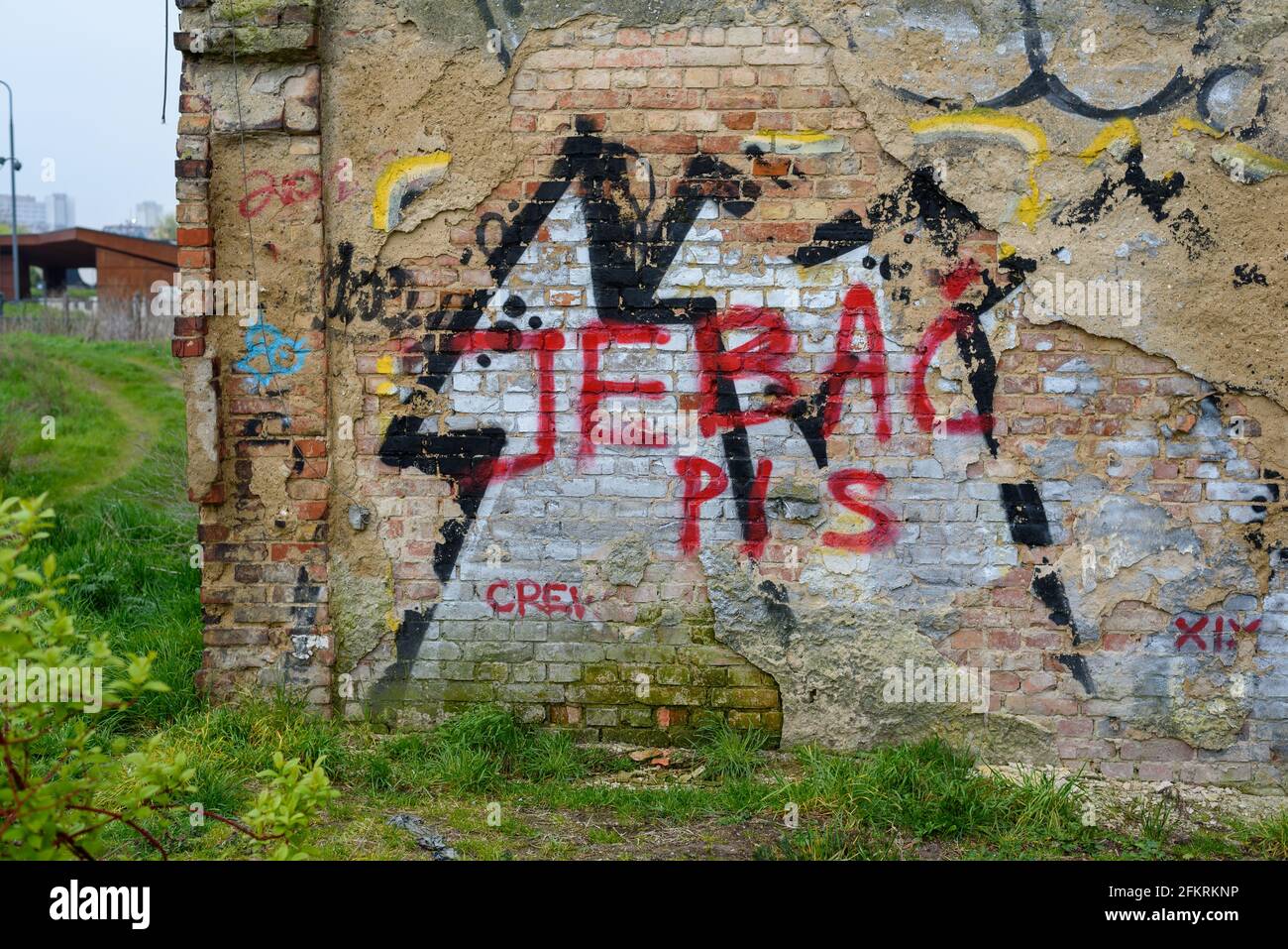 Poznan, wielkopolskie, Poland, 01.05.2021: Anti-government (F*k PiS) graffiti on a wall Stock Photo