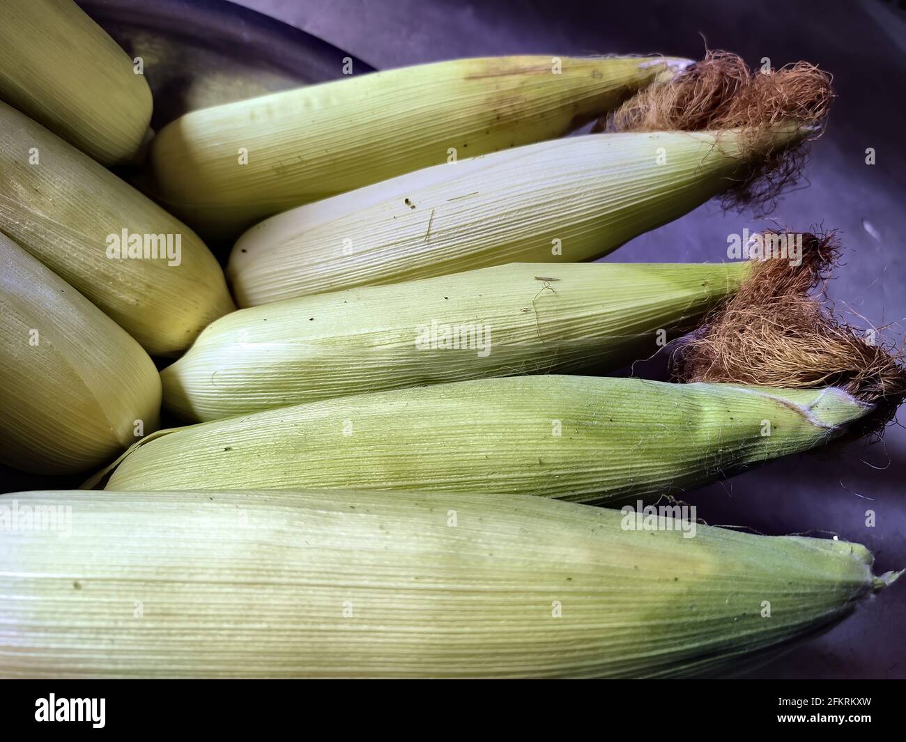 Group of corn ears with leaves covering them in a bowl Stock Photo Alamy
