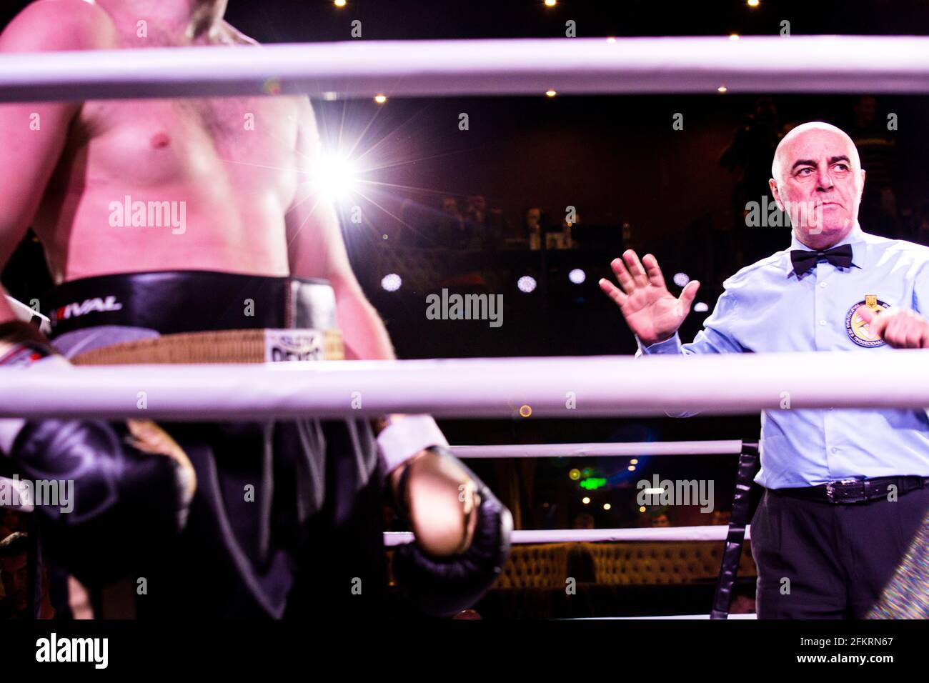 Ukraine's judge Vladik Babayan counts knockdown during 'White collar' martial arts tournament in Kiev Freedom night club and convention hall Stock Photo