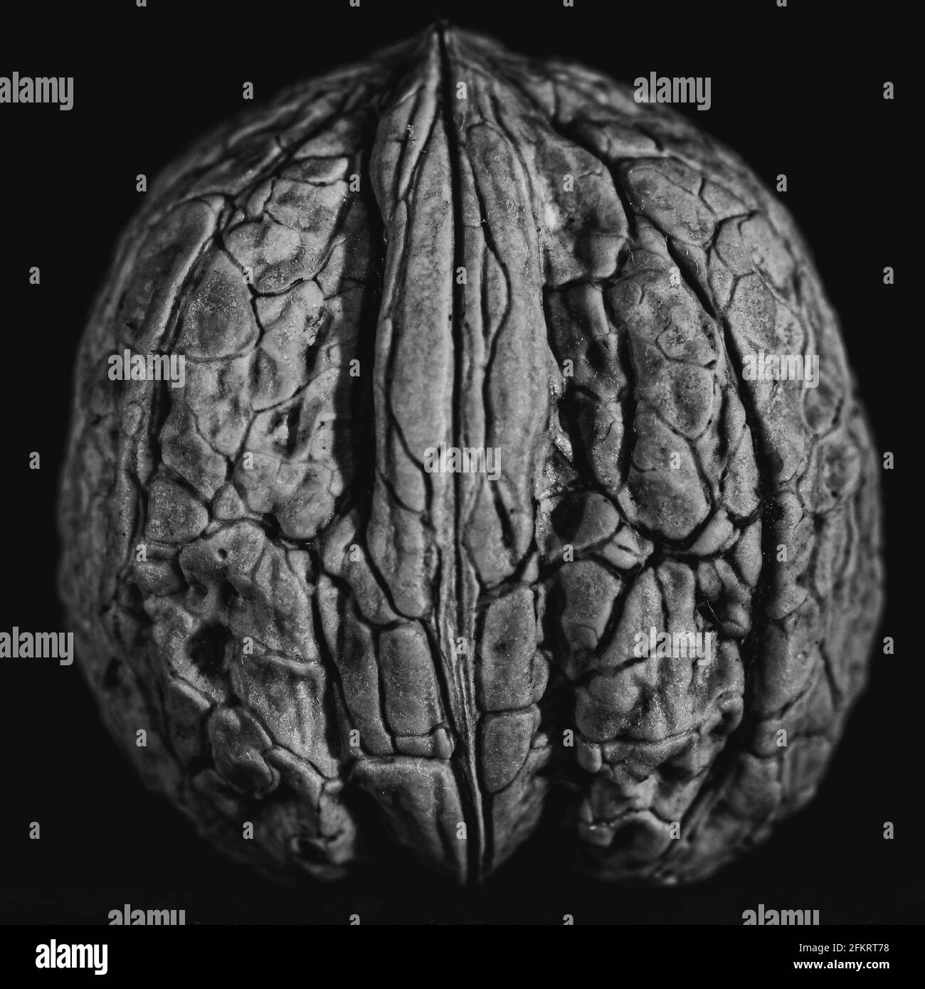 Walnuts in shell Black and White Stock Photos & Images Alamy