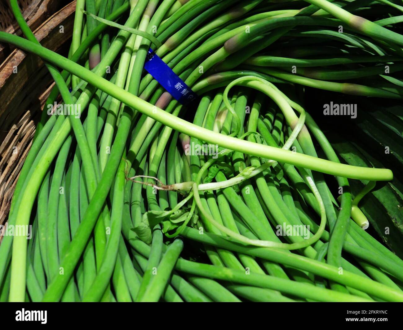 Fresh garlic sprouts Stock Photo Alamy