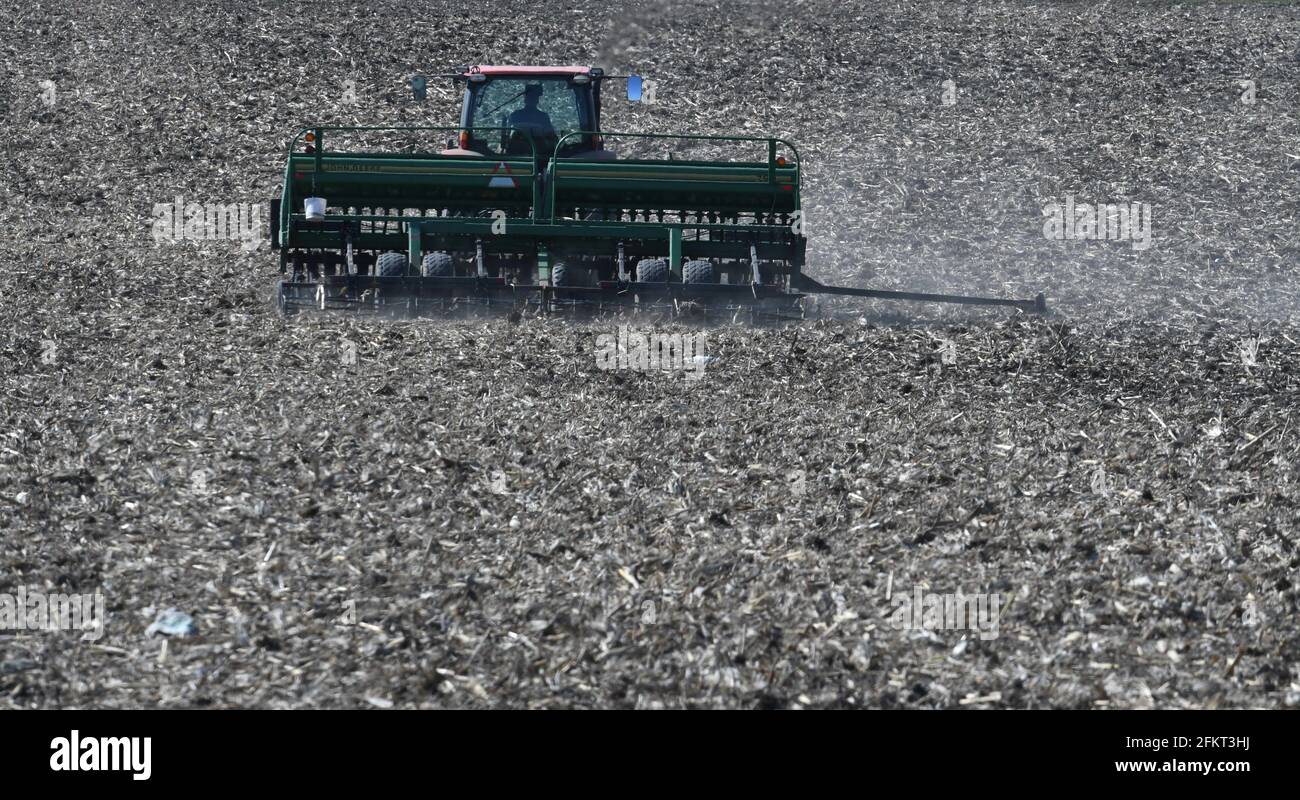 April 30, 2021, Town of Yorkville, WI, USA JUSTIN ROGERS plants 38