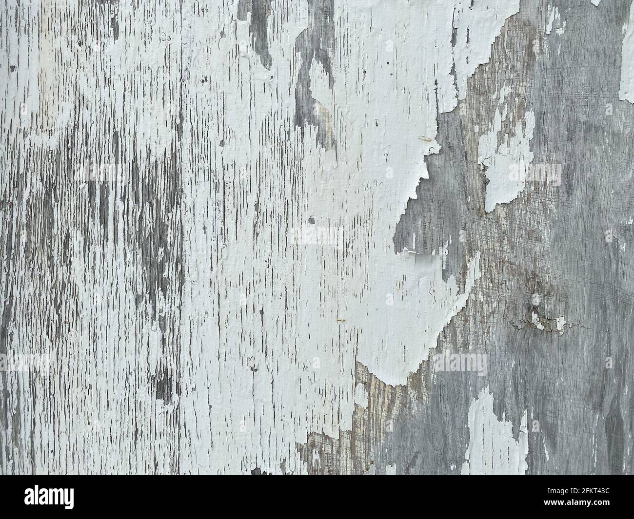 peeling white paint flaking off old country farm barn building wall closeup Stock Photo