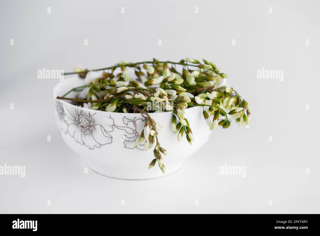 Sophora japonica flower, Chinese spring food, Stock Photo