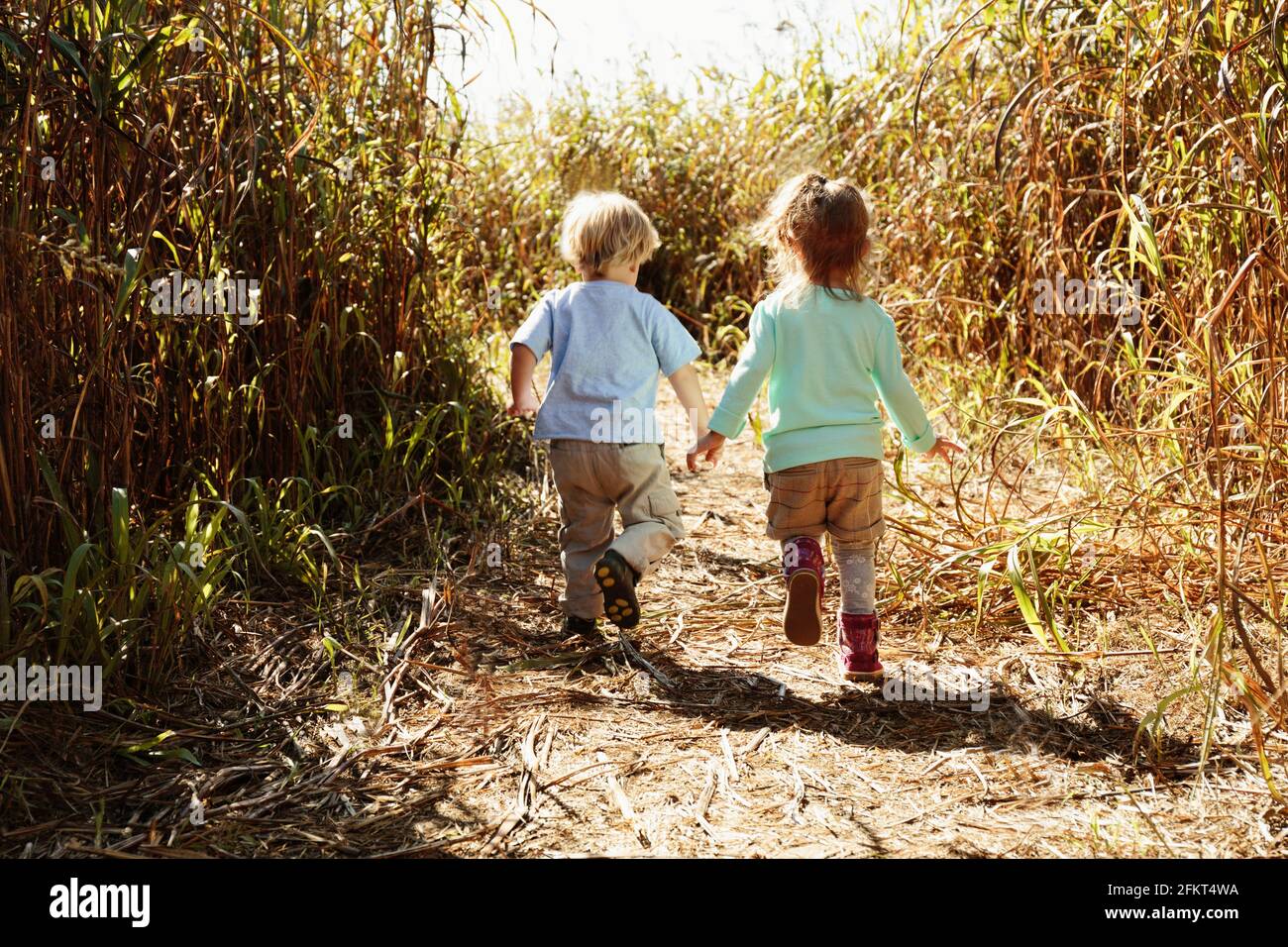 Boy girl rear view holding hands hi-res stock photography and images ...