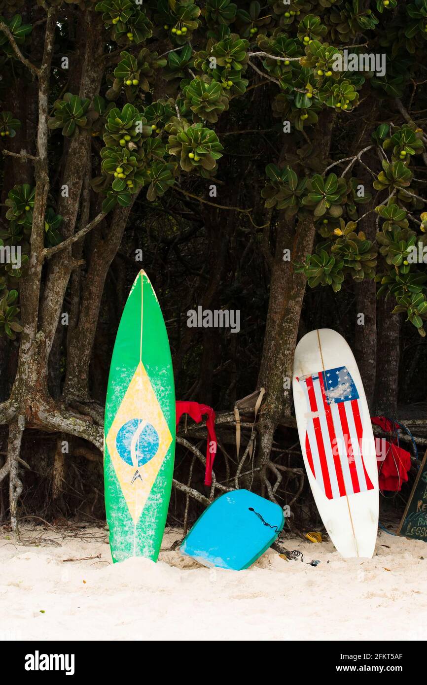 Surfboards on beach, Ilha Grande, Rio de Janeiro, Brazil Stock Photo
