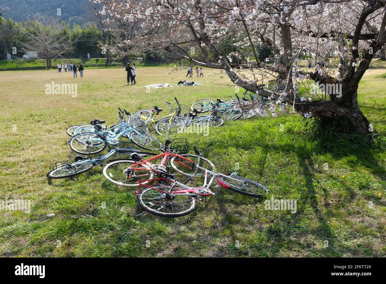 Lots of bicycles blown over by the wind. Stock Photo