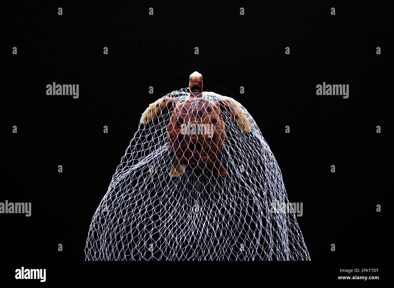 A turtle toy model trapped in white net on black background. Minimal world ocean day concept. Stock Photo