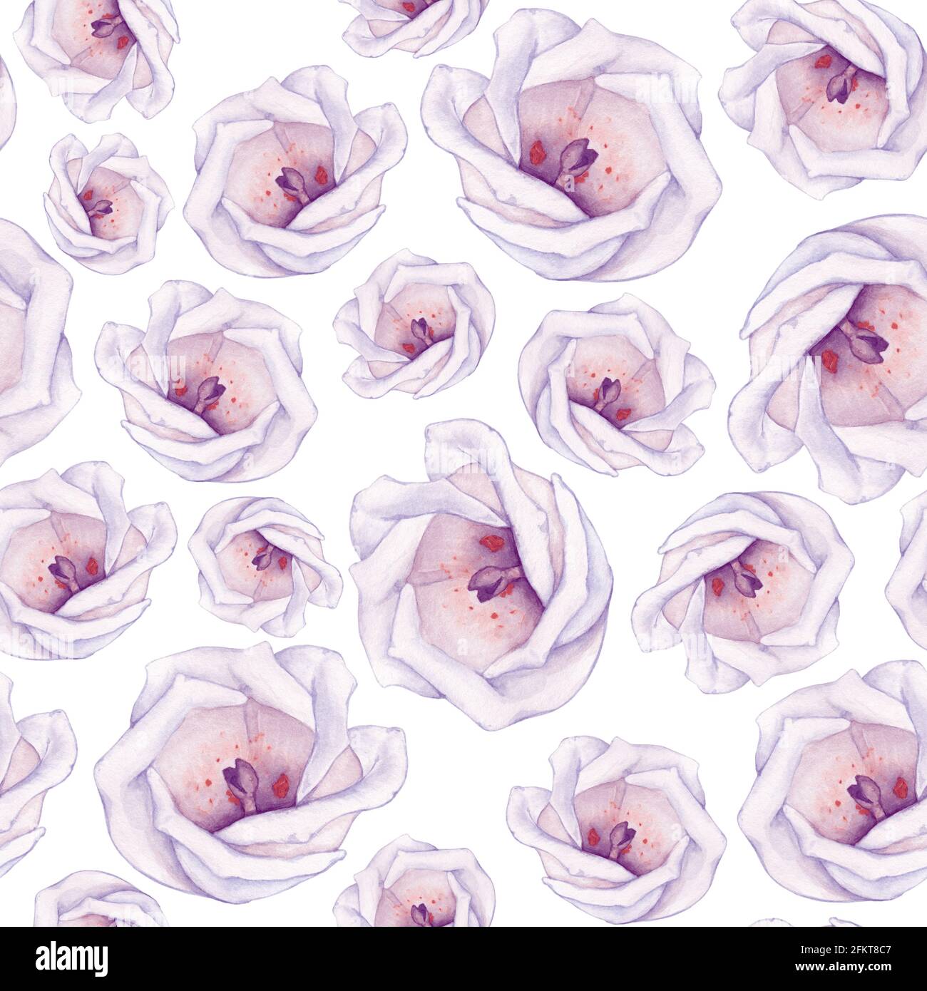 Delicate seamless pattern with beautiful white flowers. Watercolour ...